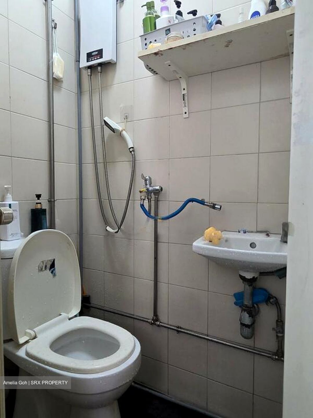 Oleander Towers (D12), Apartment #496181231